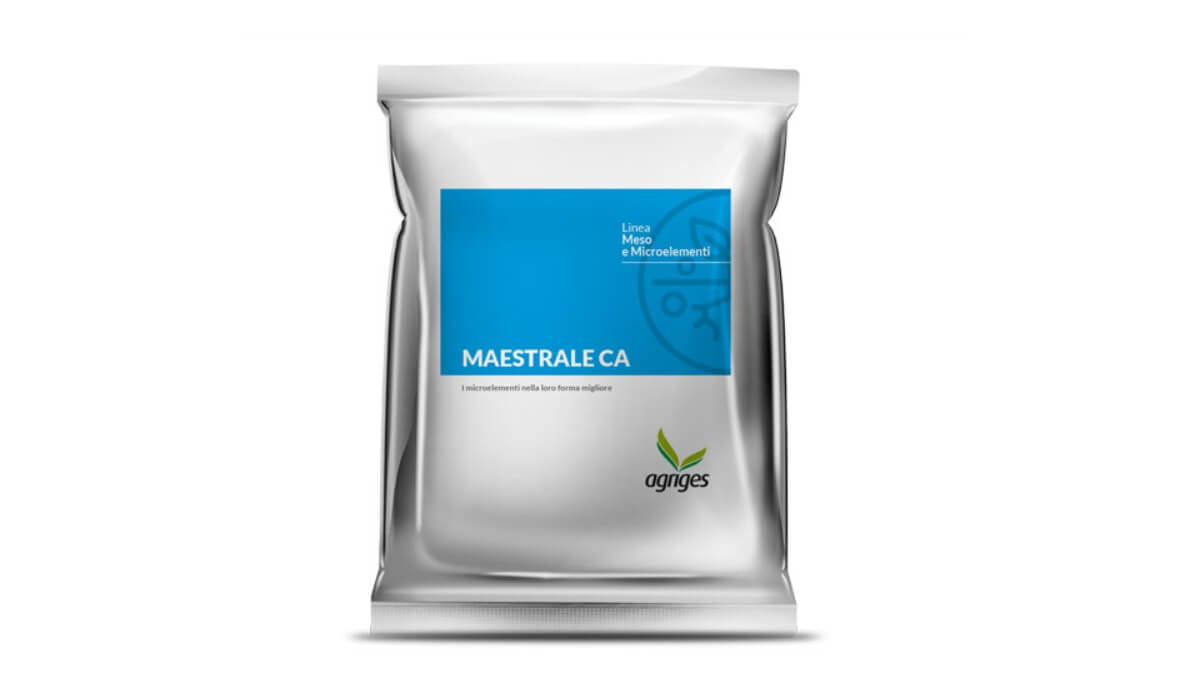 Nutrición funcional, más microbiología aplicadaNutrición funcional, más microbiología aplicada (1).jpg